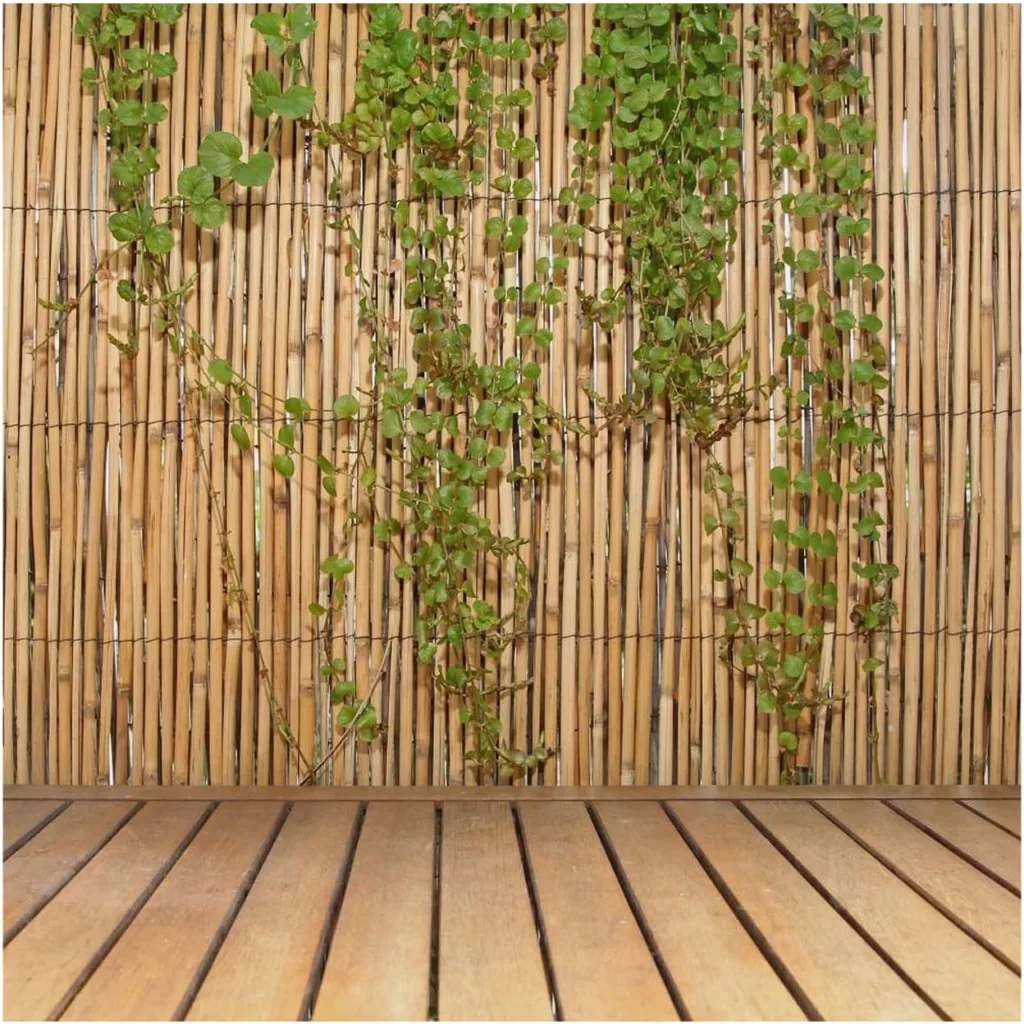 Amazon Jumbo Reed Bamboo Privacy Screen